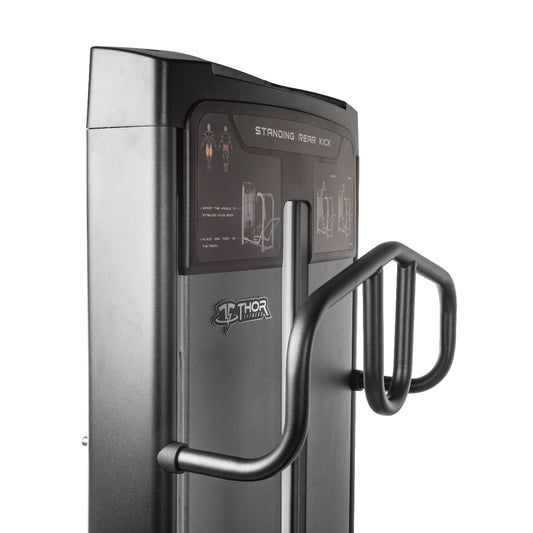 TF Advanced Standing Rear Kick