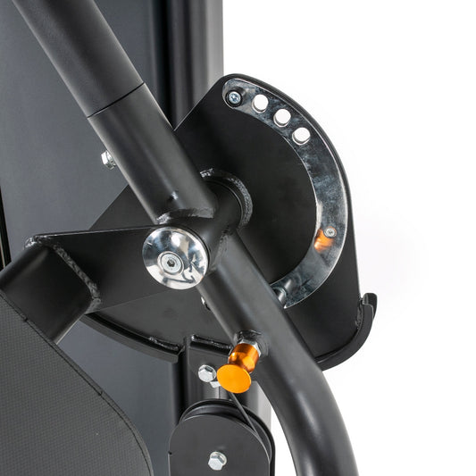 TF Standard WS Biceps/Triceps