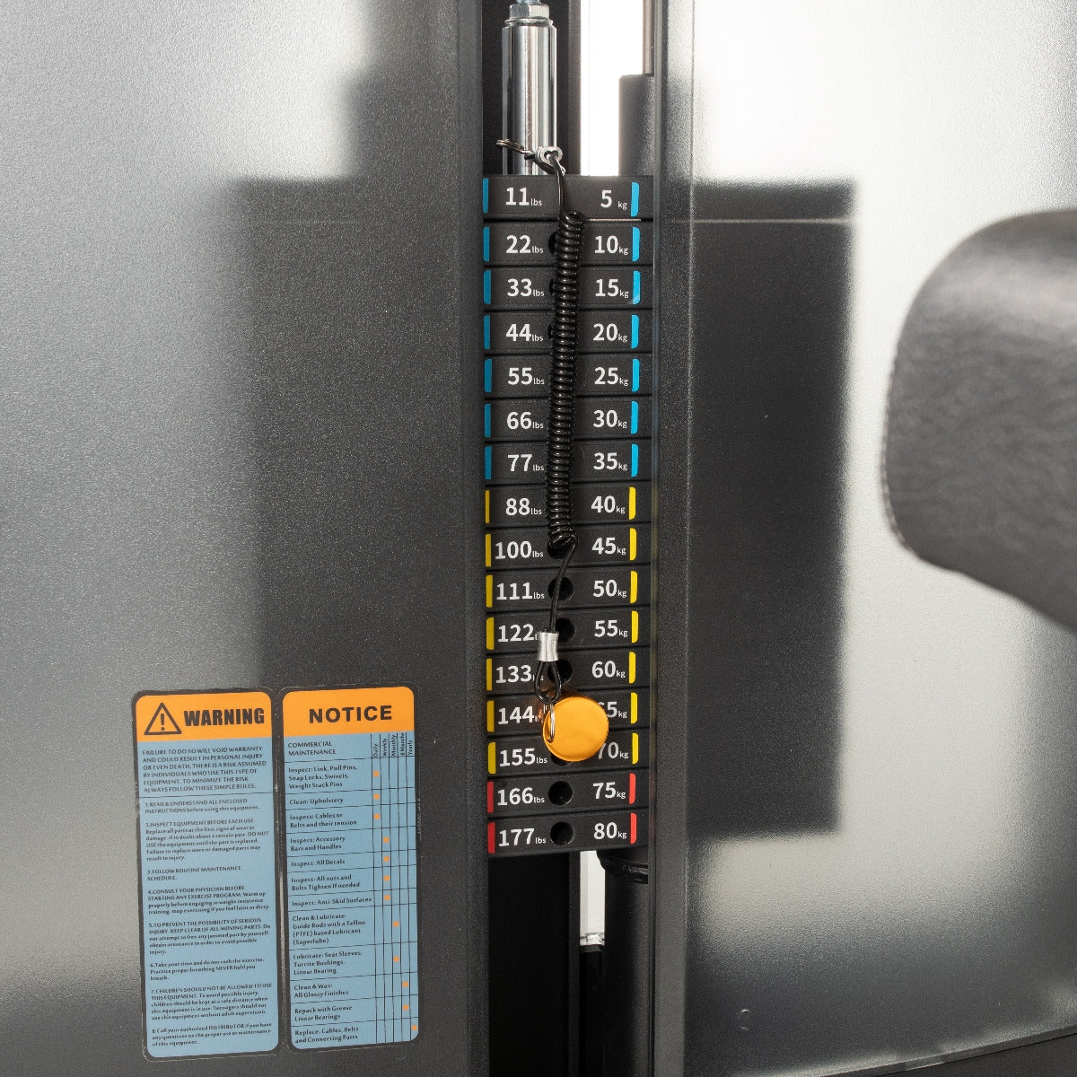 TF Advanced WS Abdominal Crunch