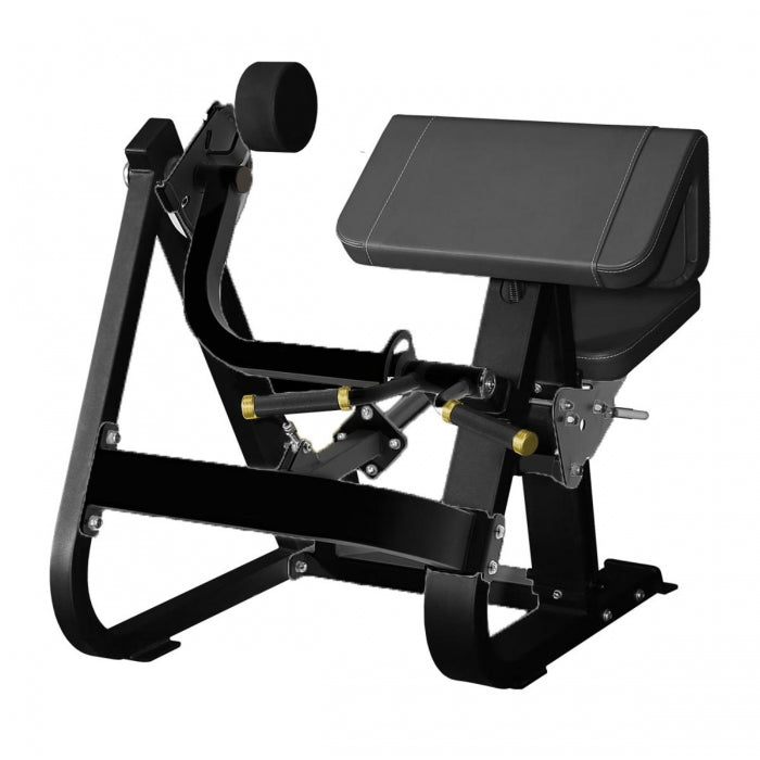 TF Exclusive PL ARM CURL