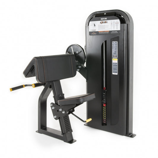 TF Exclusive WS BICEP CURL