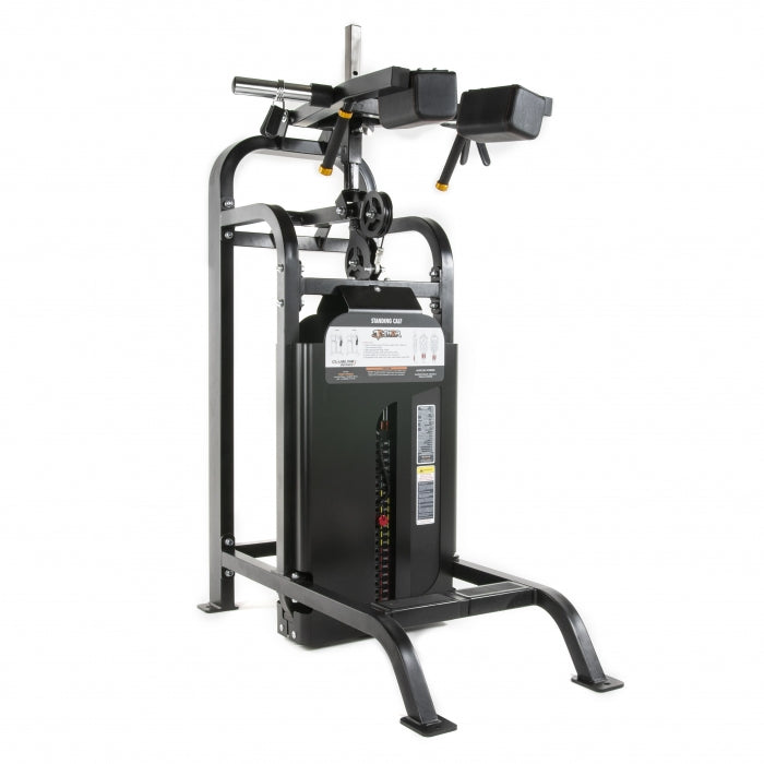 TF Exclusive WS STANDING CALF