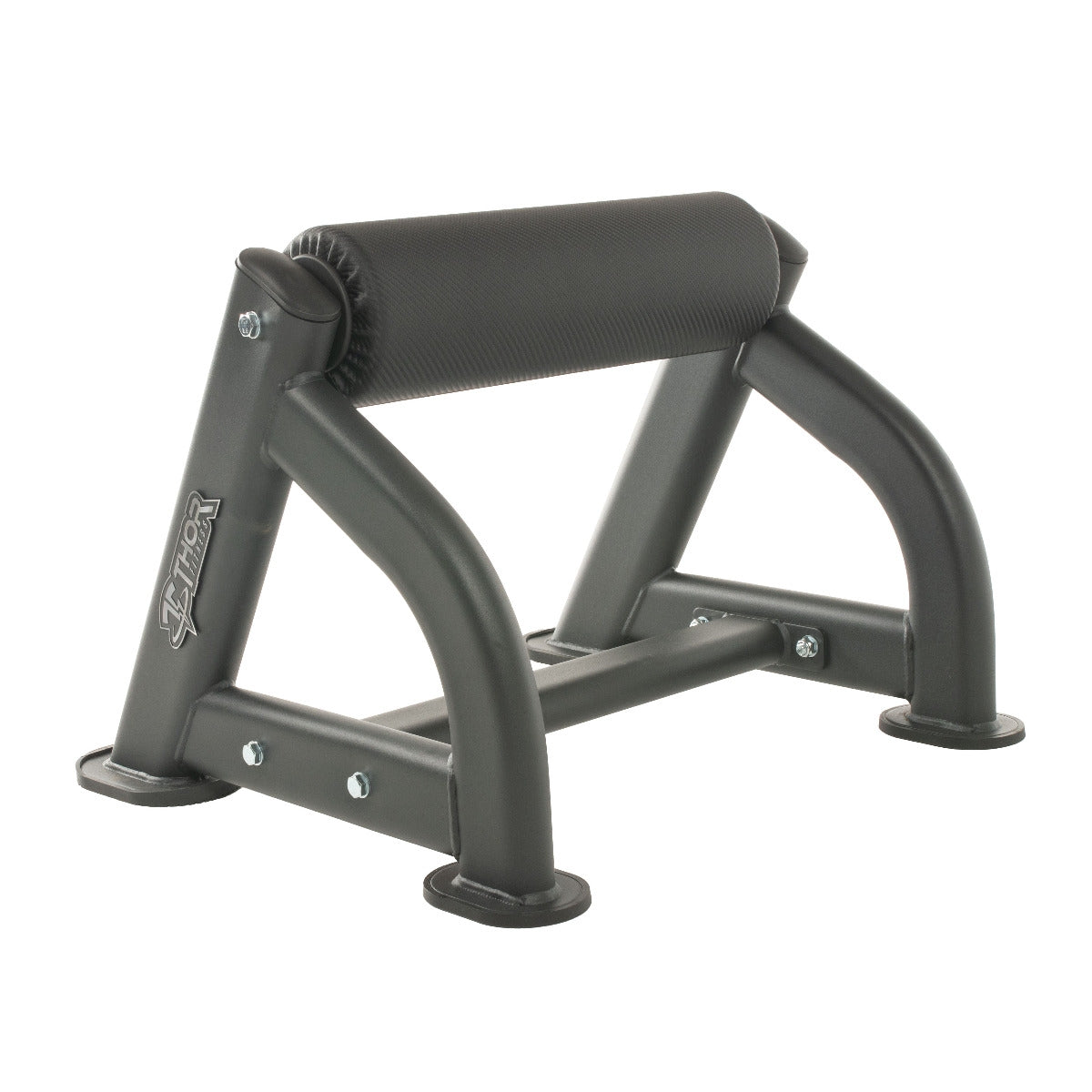 TF Standard Bulgarian Squat