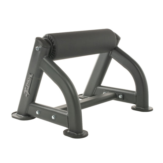 TF Standard Bulgarian Squat
