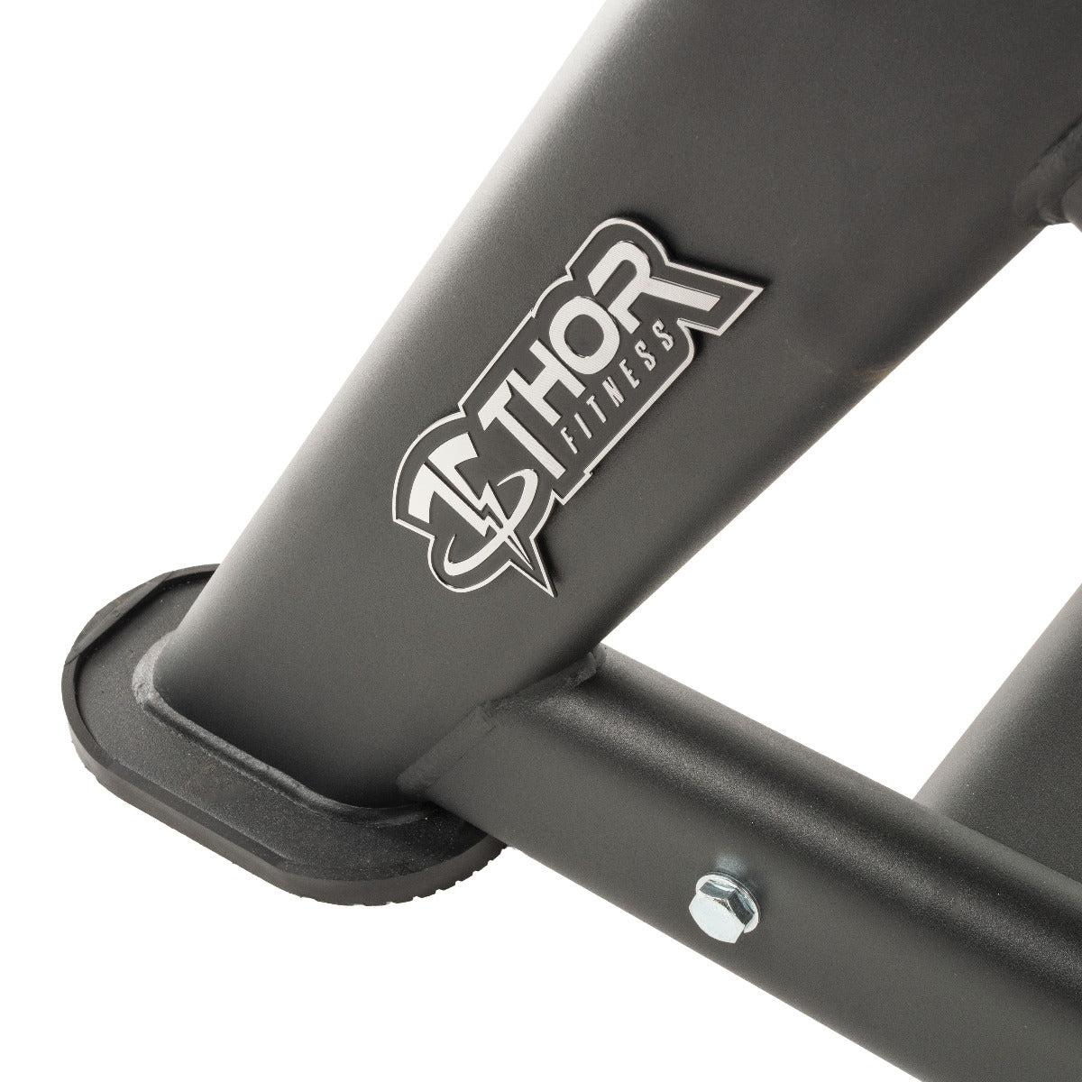 TF Standard Bulgarian Squat