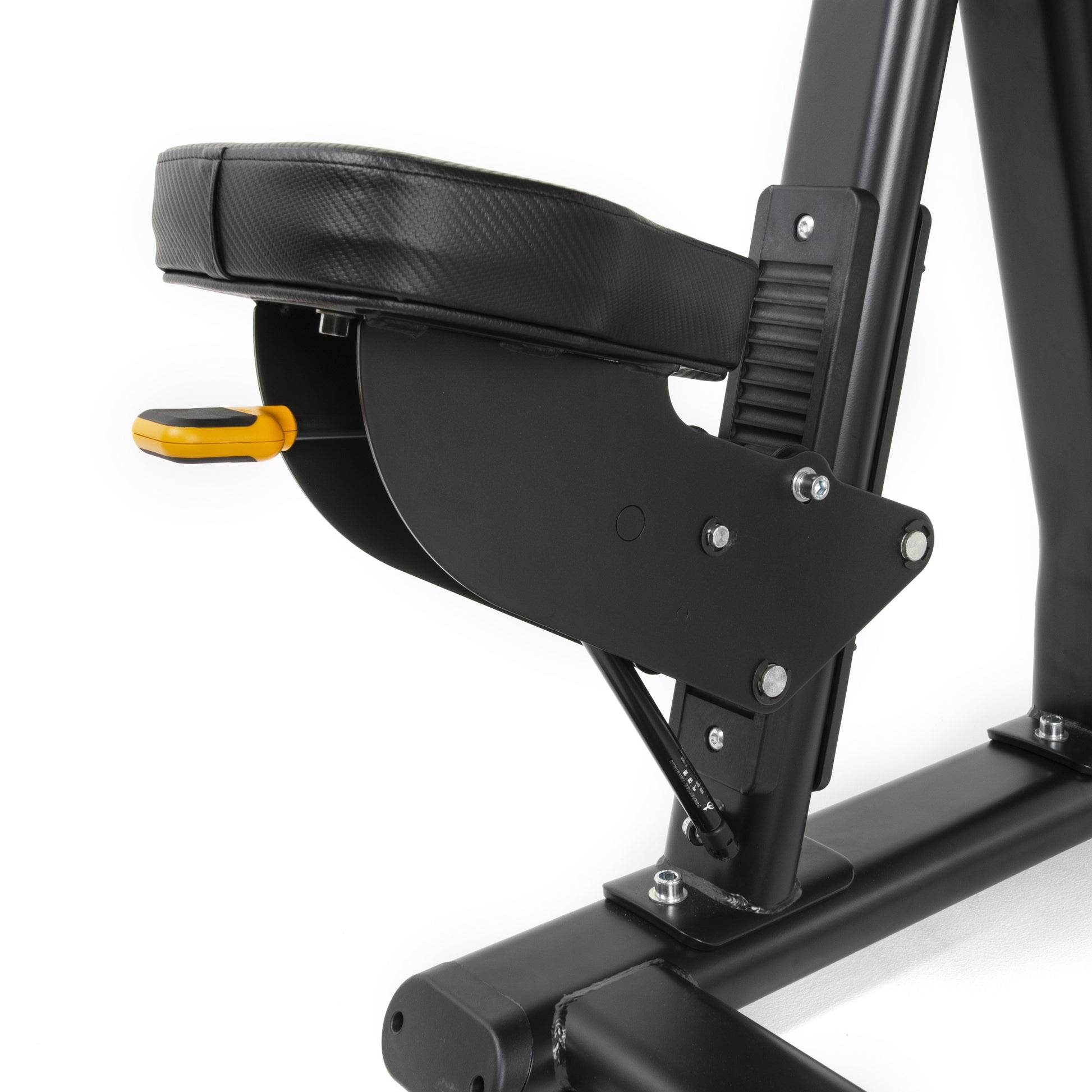 TF Standard PL Biceps Curl