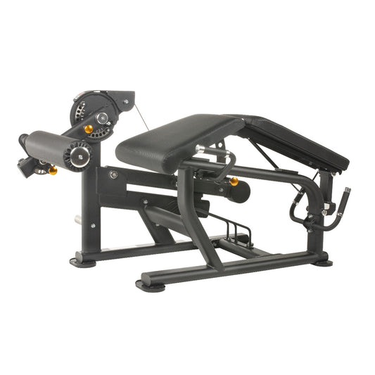 TF Standard PL Leg Extension/Curl