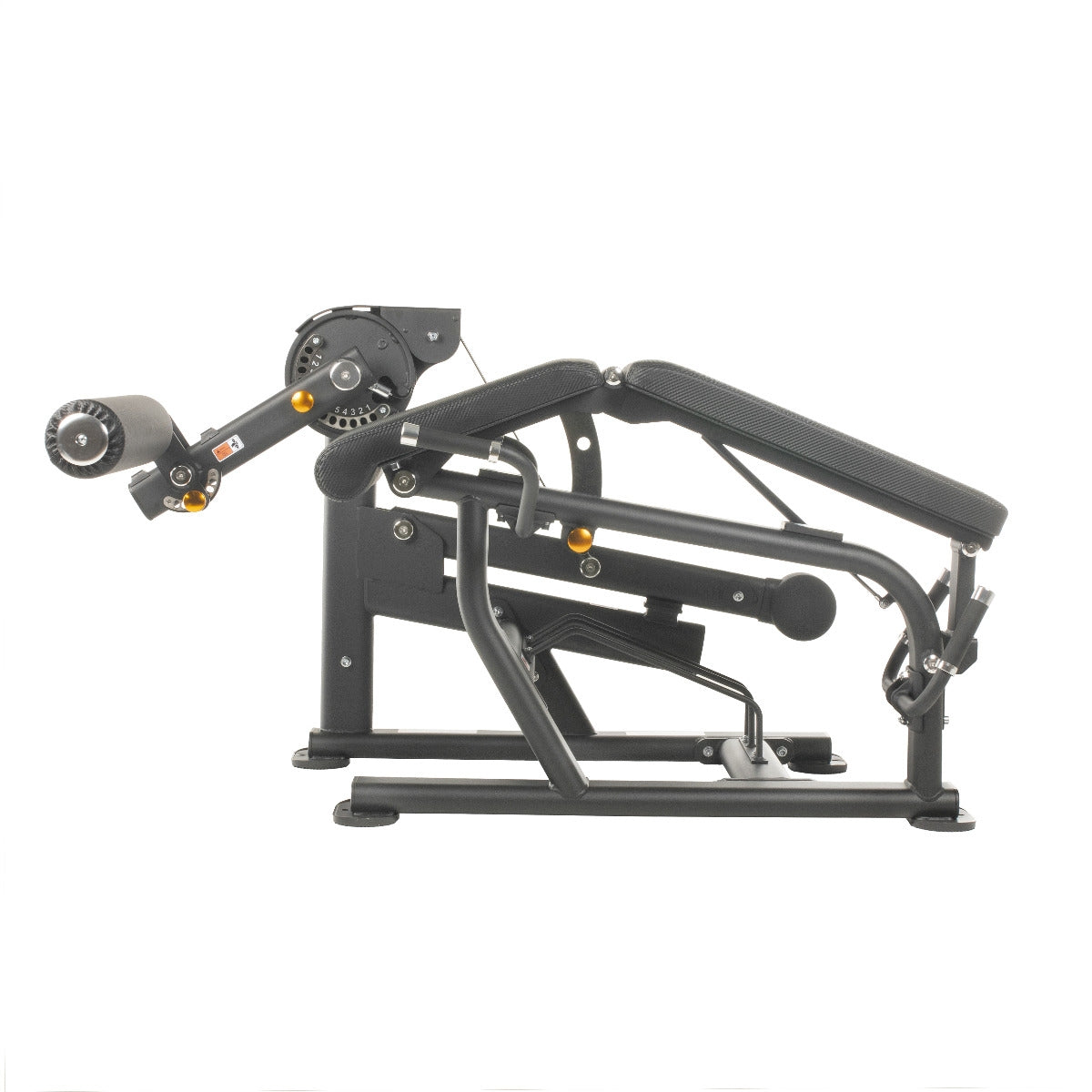 TF Standard PL Leg Extension/Curl