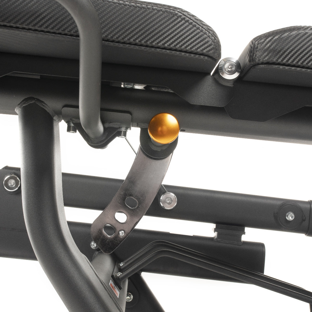 TF Standard PL Leg Extension/Curl