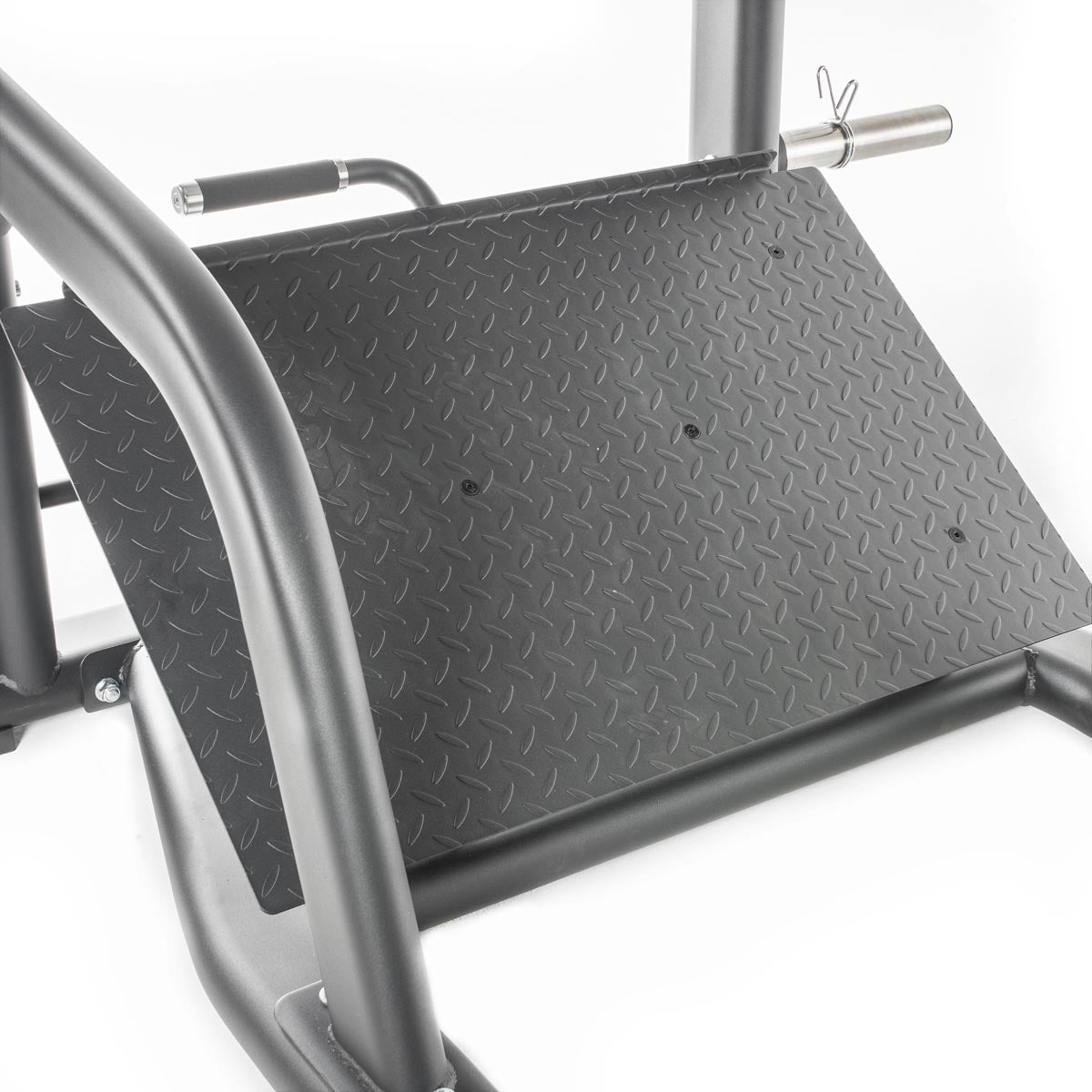 TF Standard PL Pendulum Squat