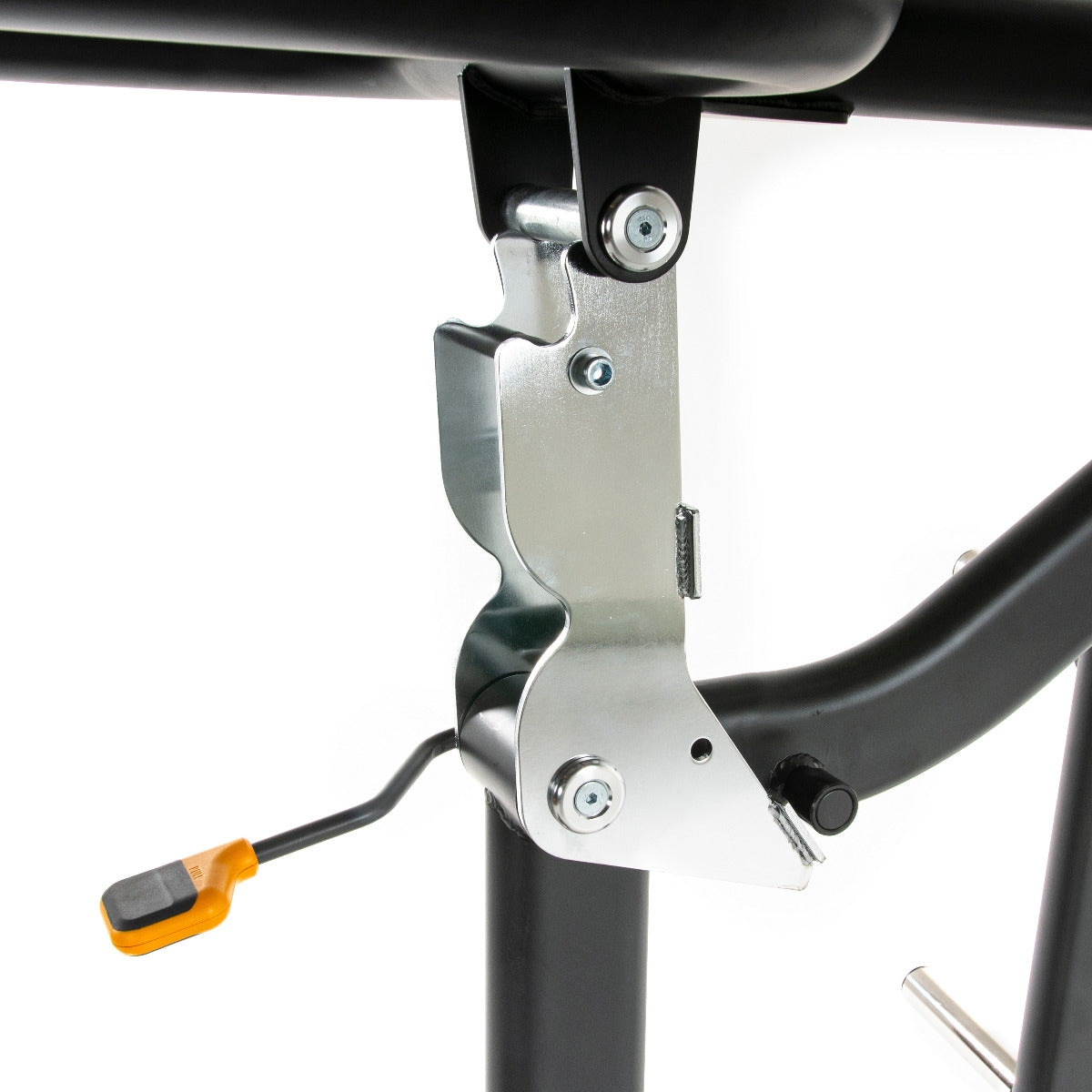 TF Standard PL Squat