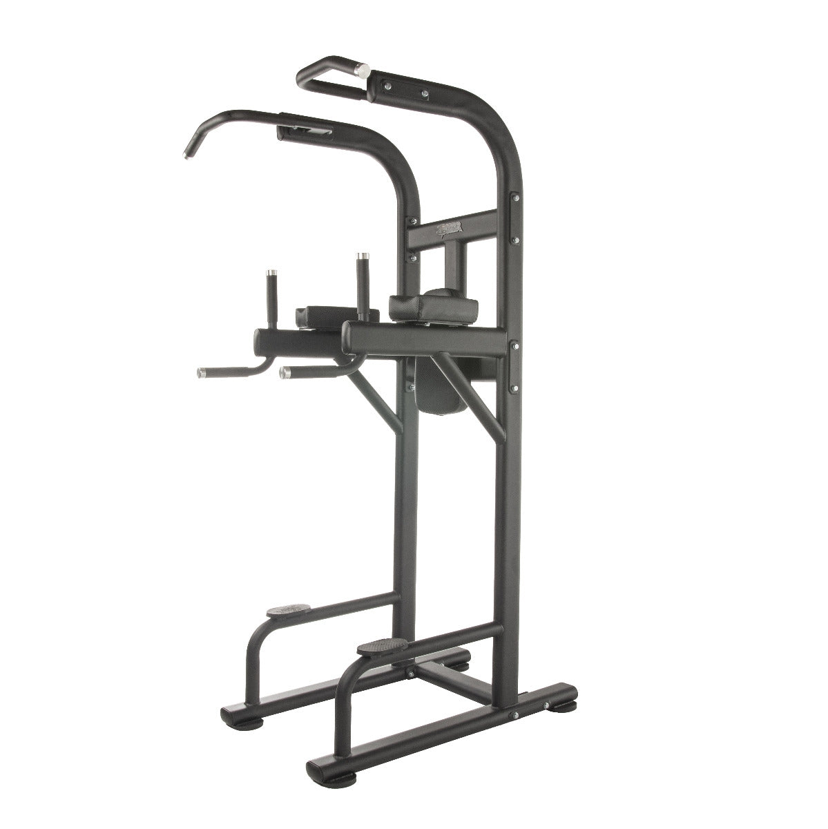 TF Standard Vertical Kneeraise/Dip