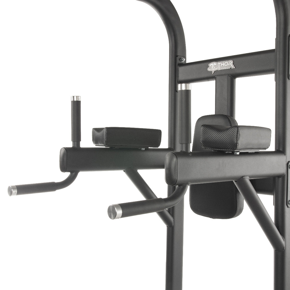 TF Standard Vertical Kneeraise/Dip