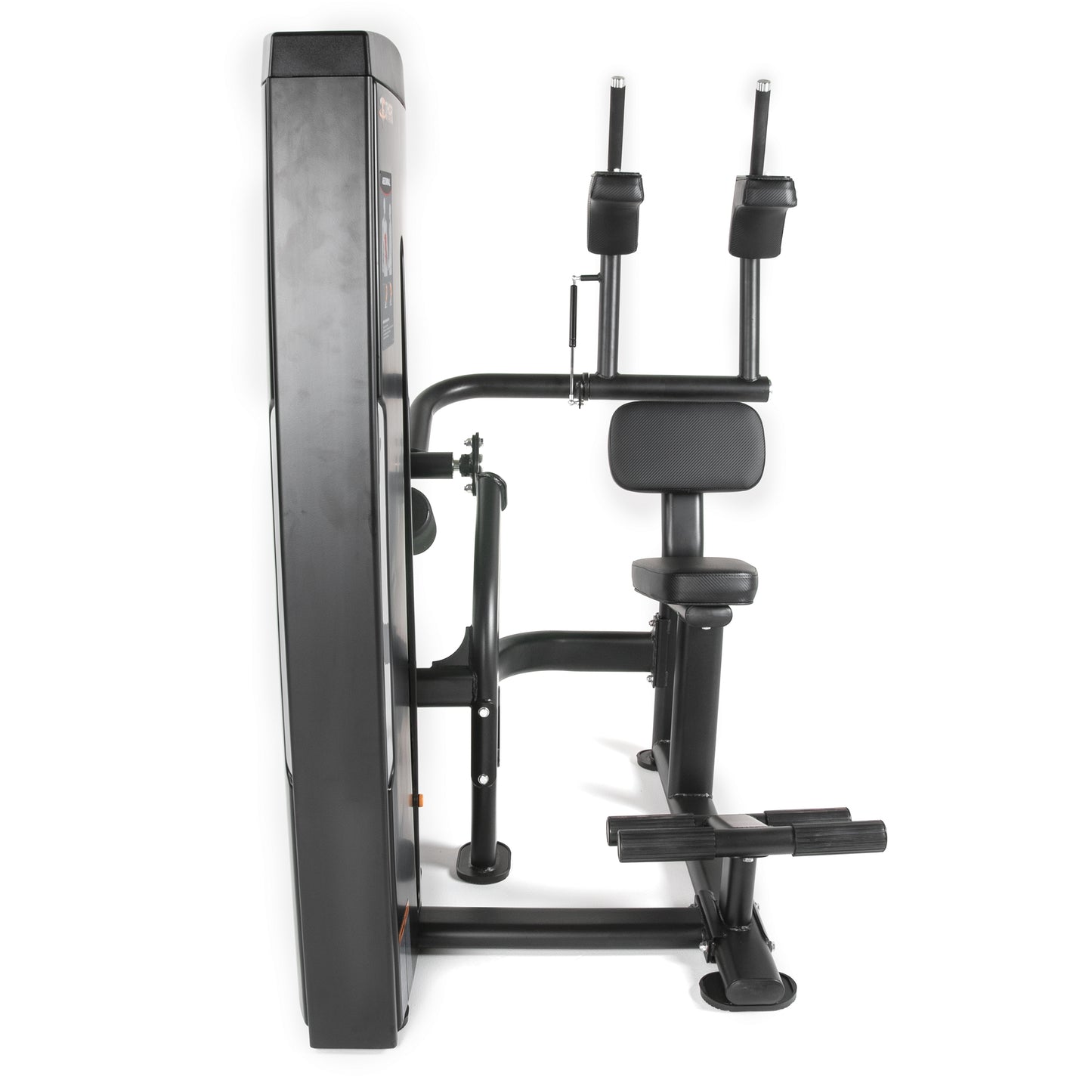 TF Standard WS Abdominal