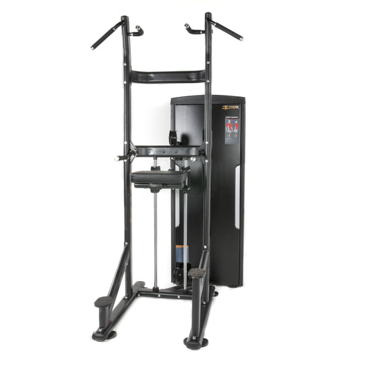 TF Standard WS Chin/Dip Assisted