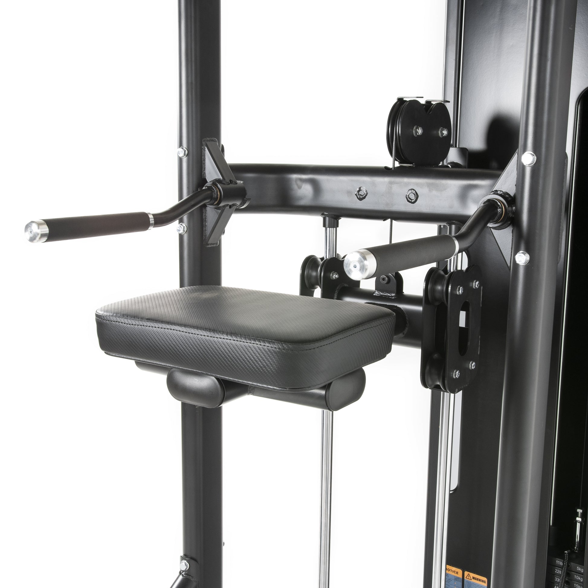 TF Standard WS Chin/Dip Assisted