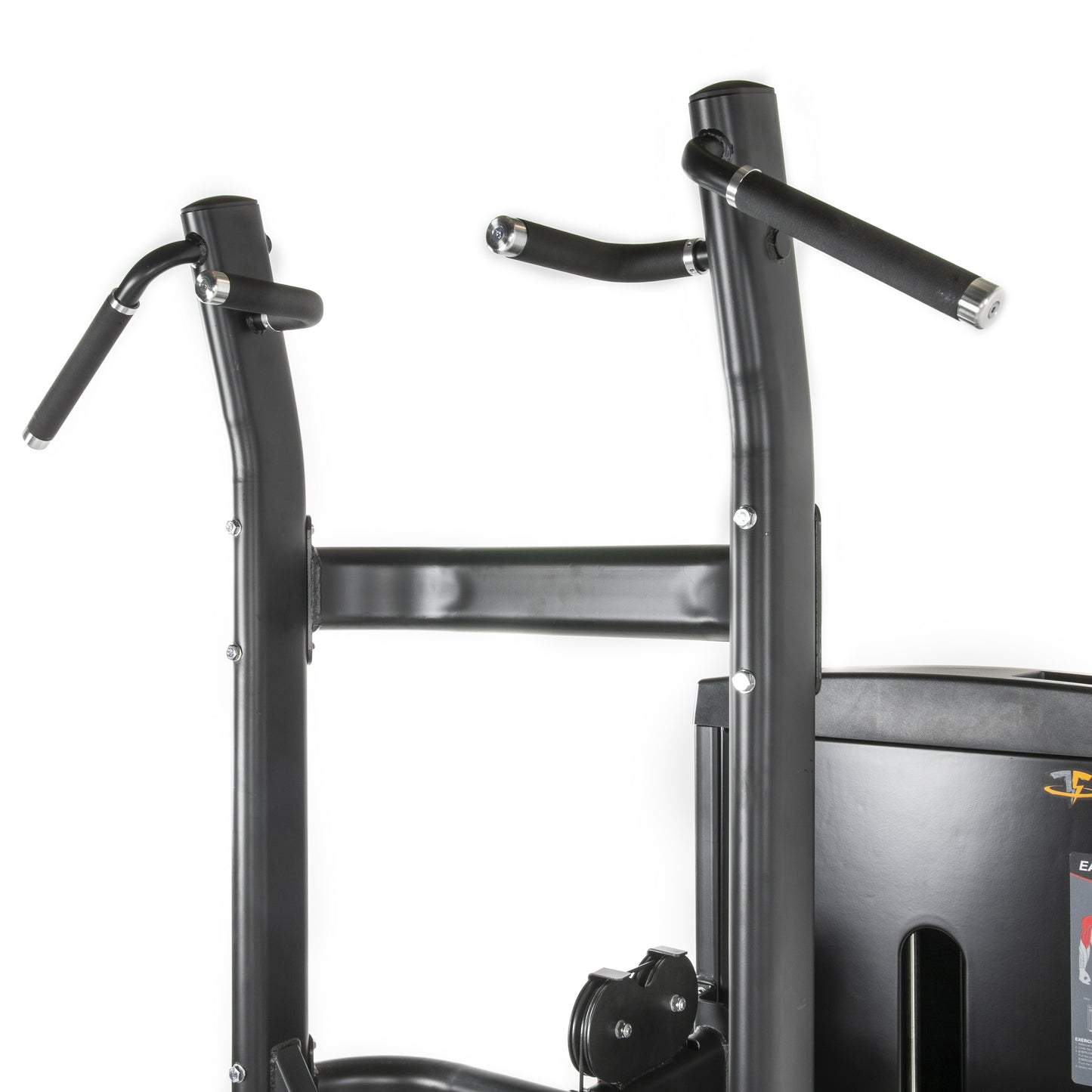 TF Standard WS Chin/Dip Assisted