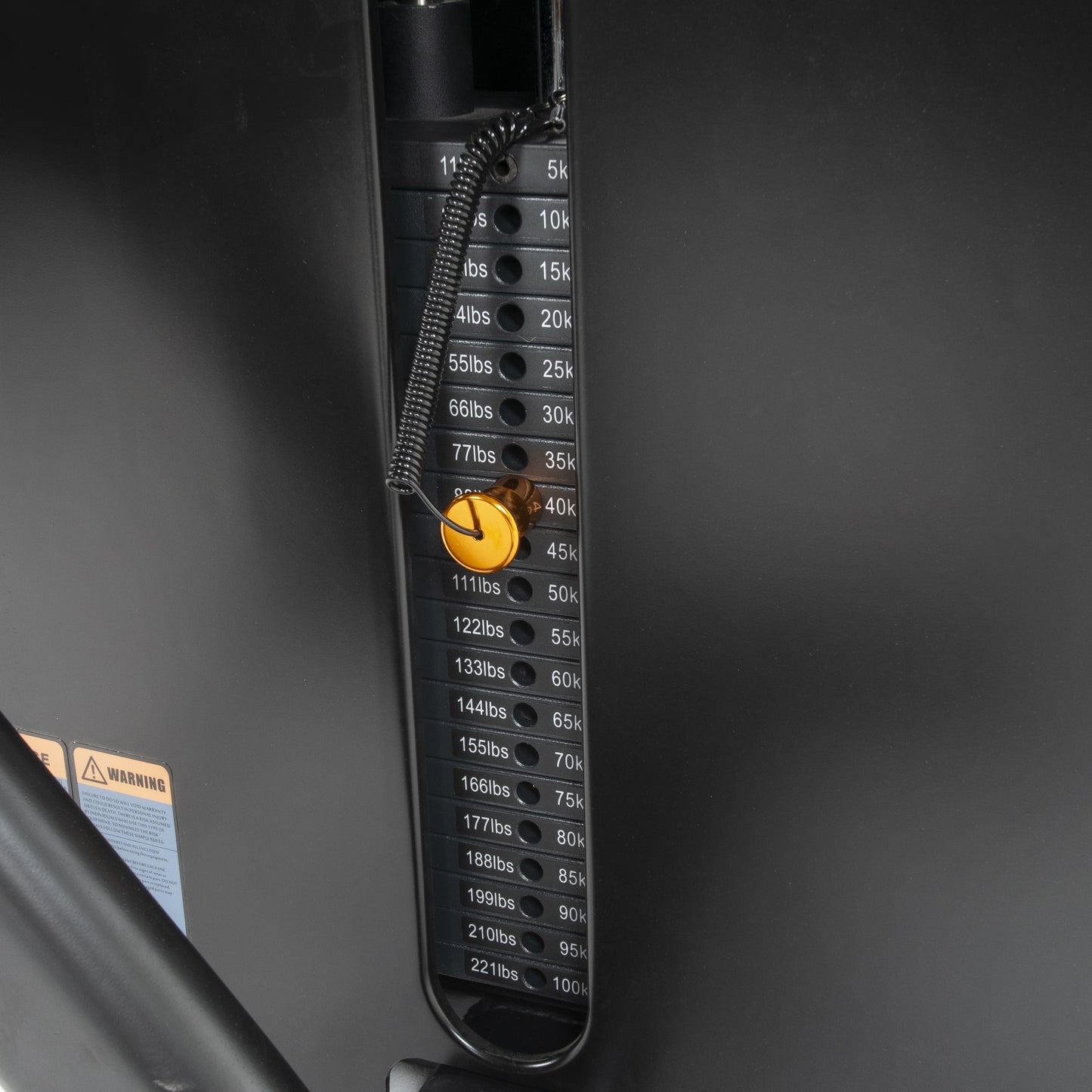 TF Standard WS Biceps Curl