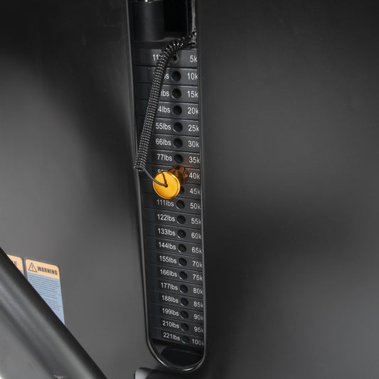 TF Standard WS Biceps Curl