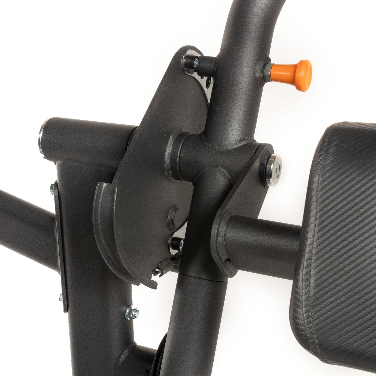 TF Standard WS Biceps/Triceps Type 2