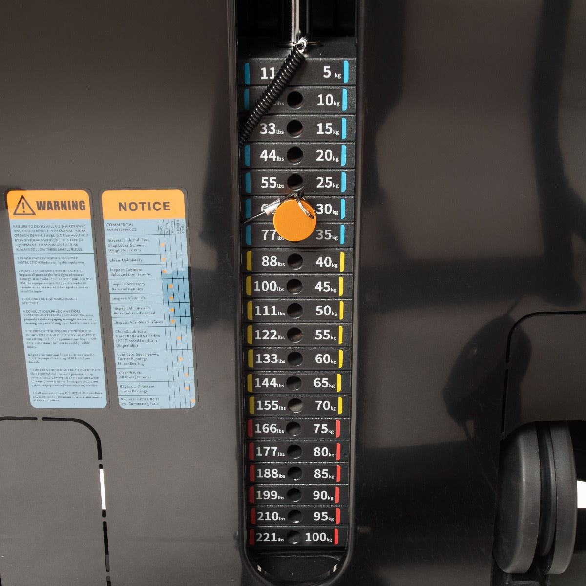 TF Standard WS Biceps/Triceps Type 2