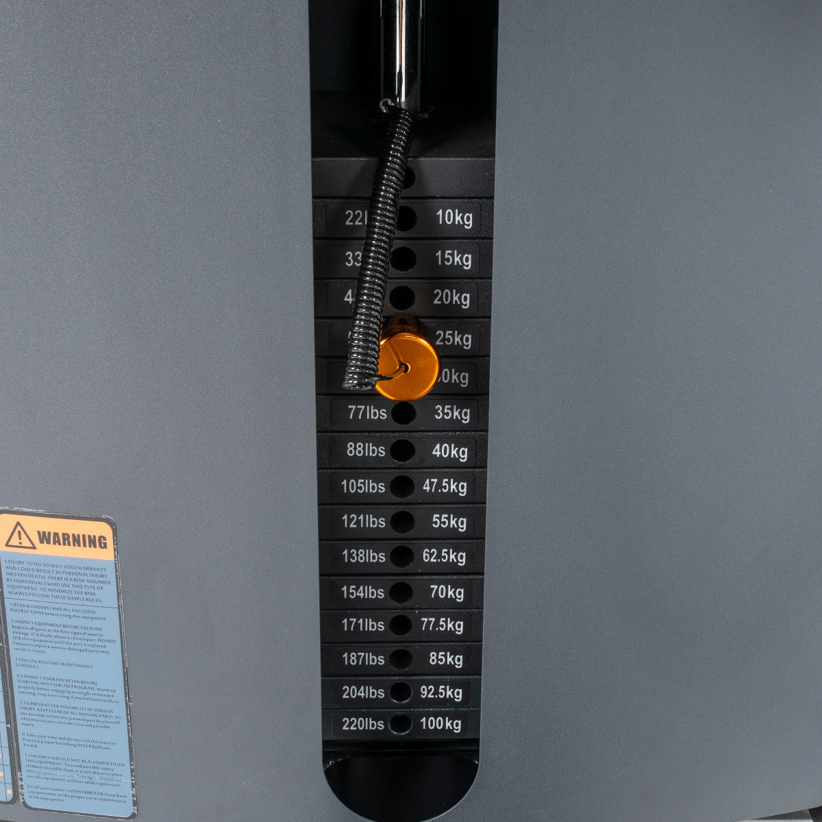 TF Standard WS Biceps/Triceps