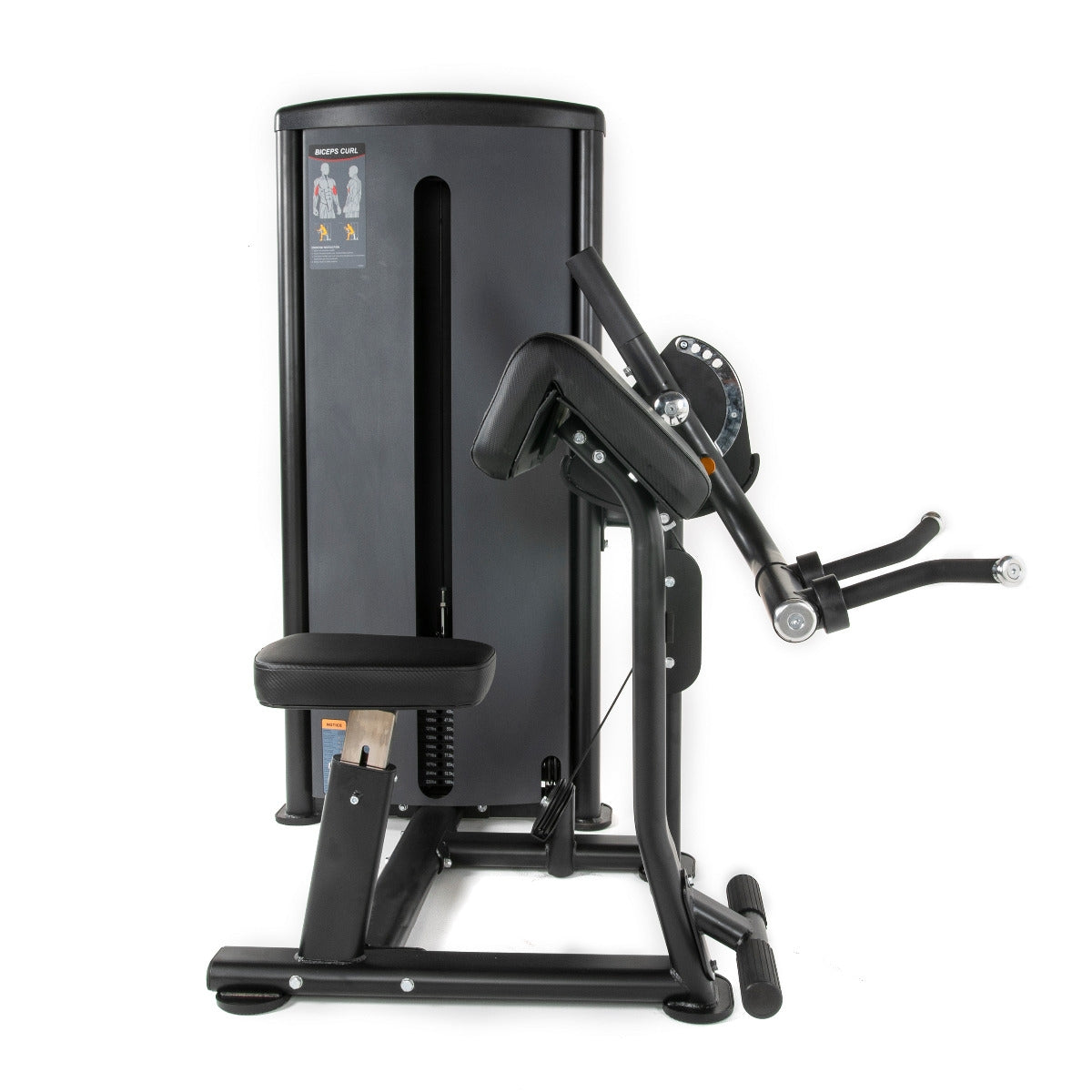 TF Standard WS Biceps/Triceps