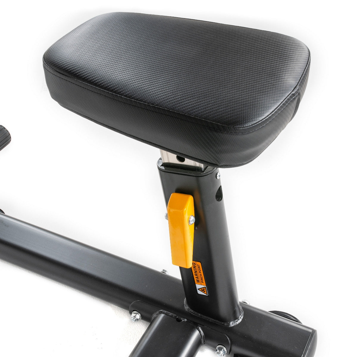 TF Standard WS Biceps/Triceps