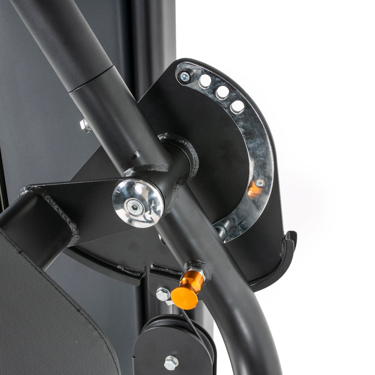 TF Standard WS Biceps/Triceps