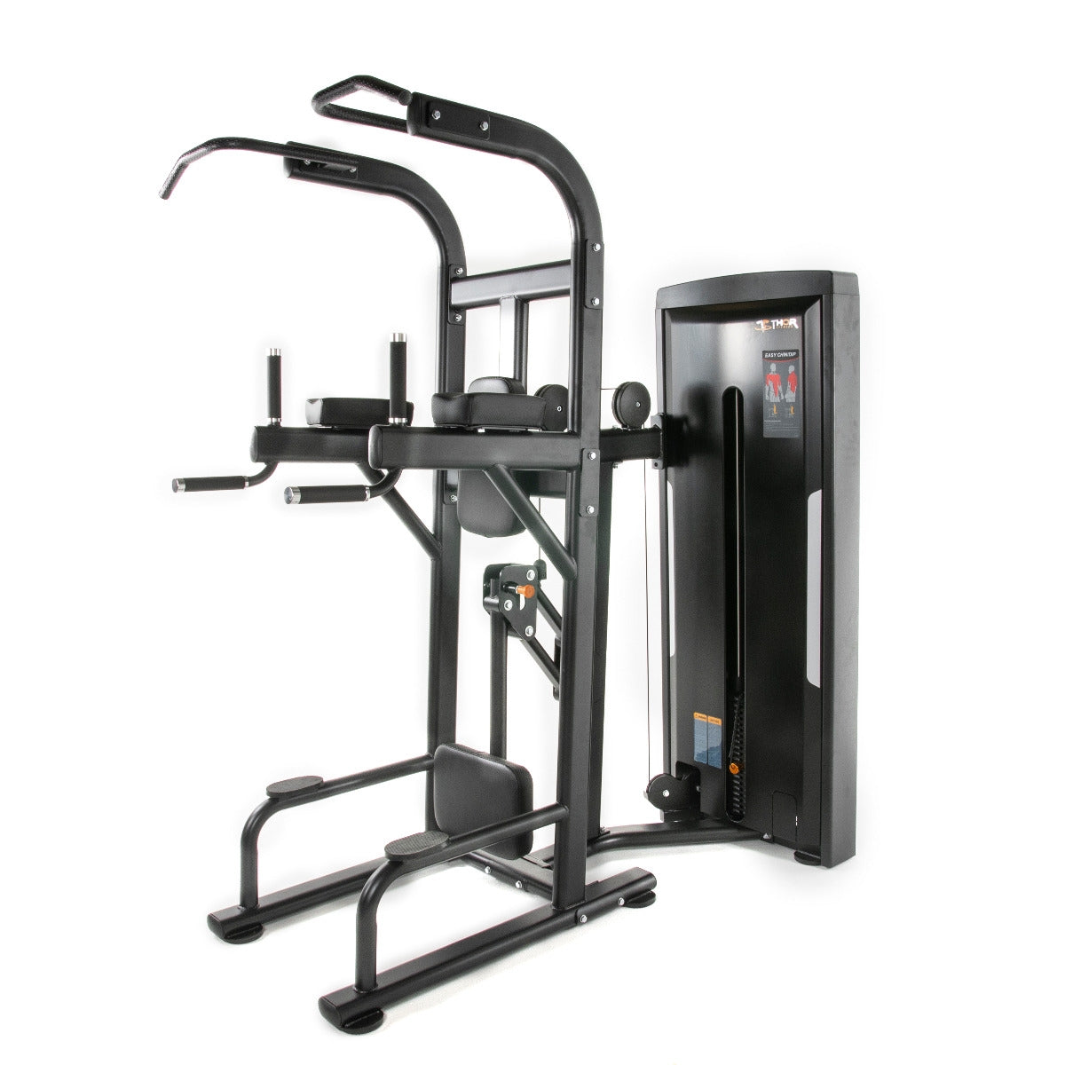 TF Standard WS Chin/Dip Assisted Type 2