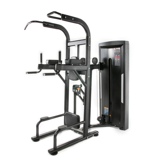 TF Standard WS Chin/Dip Assisted Type 2