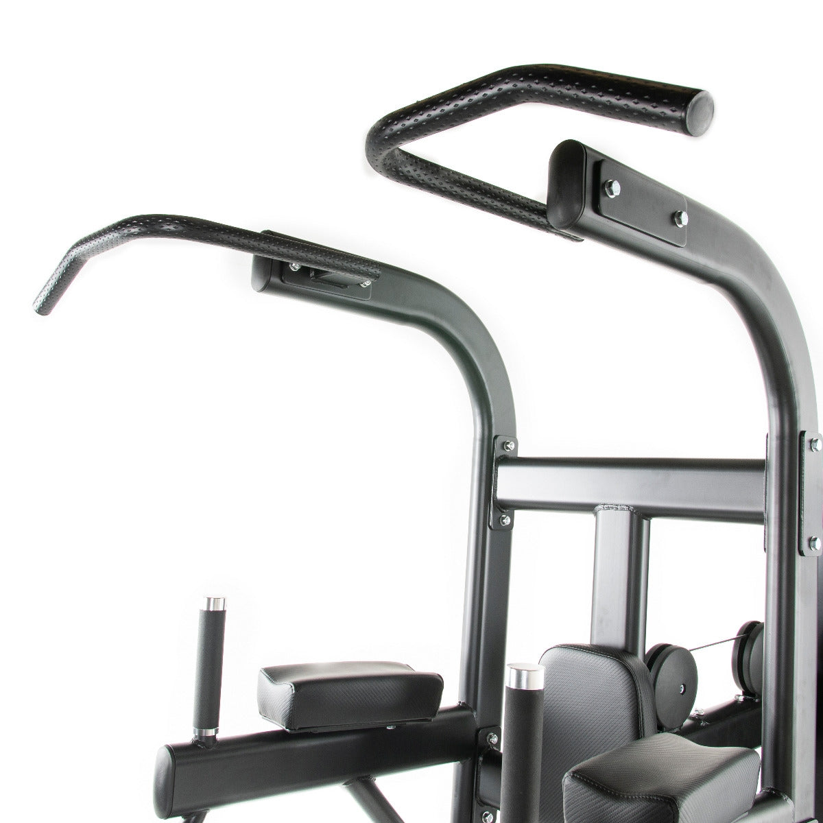 TF Standard WS Chin/Dip Assisted Type 2