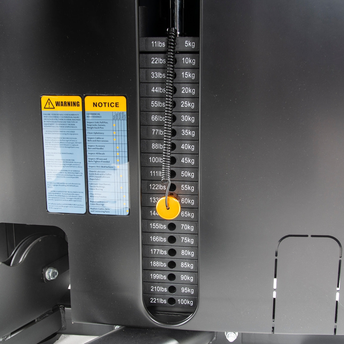 TF Standard WS Chin/Dip Assisted Type 2