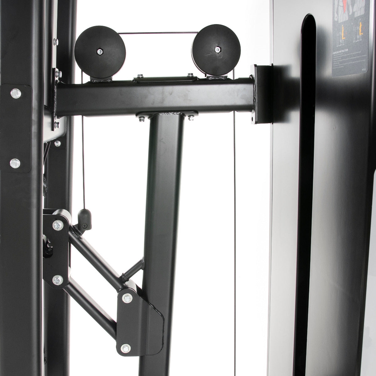 TF Standard WS Chin/Dip Assisted Type 2