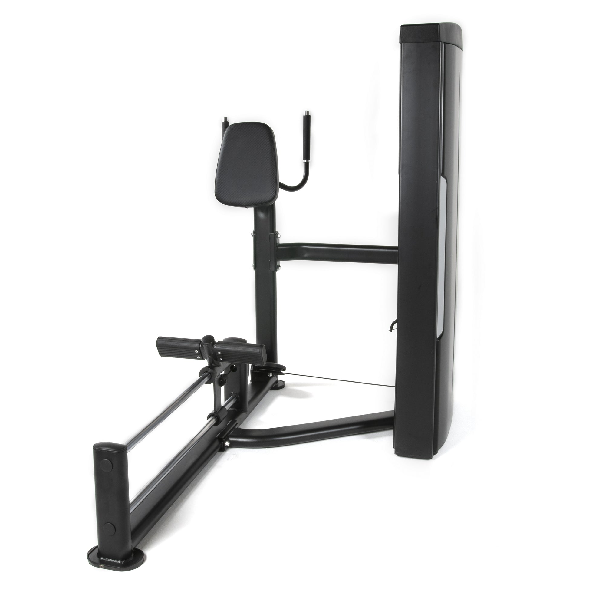 TF Standard WS Glute