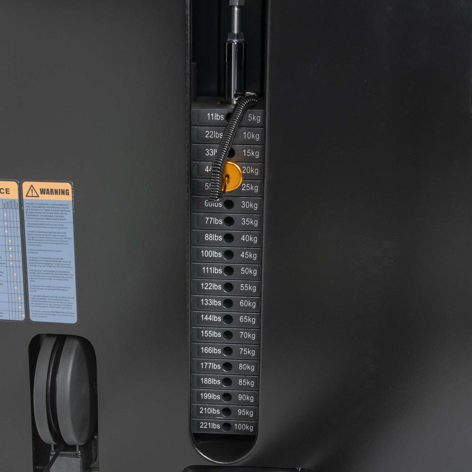 TF Standard WS Glute