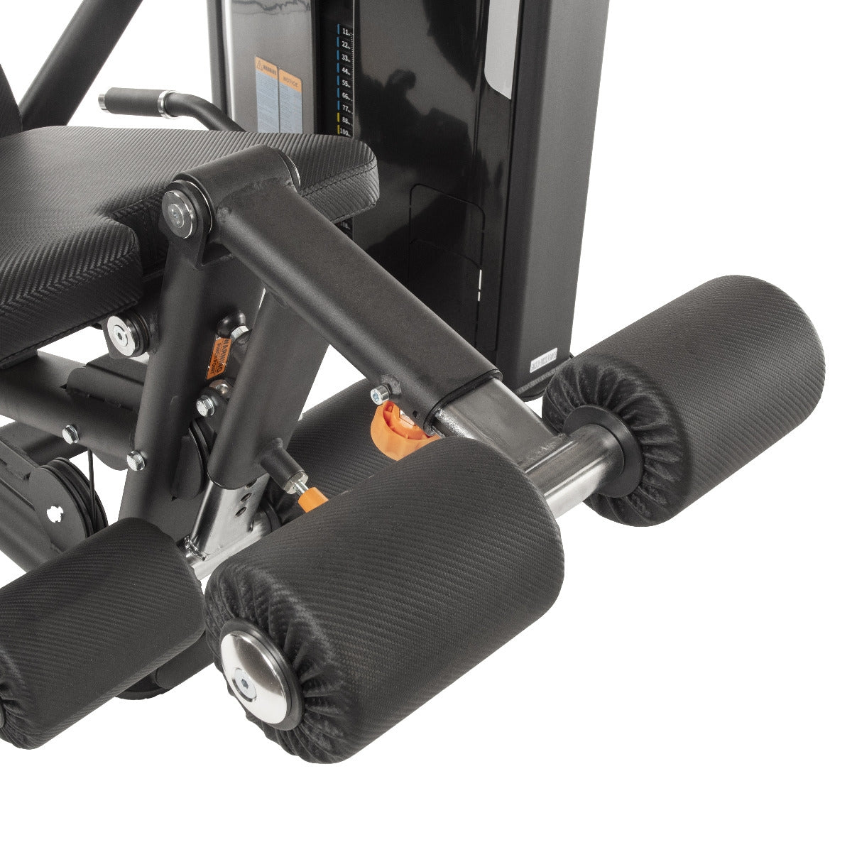 TF Standard WS Leg Curl/Extension Type 2