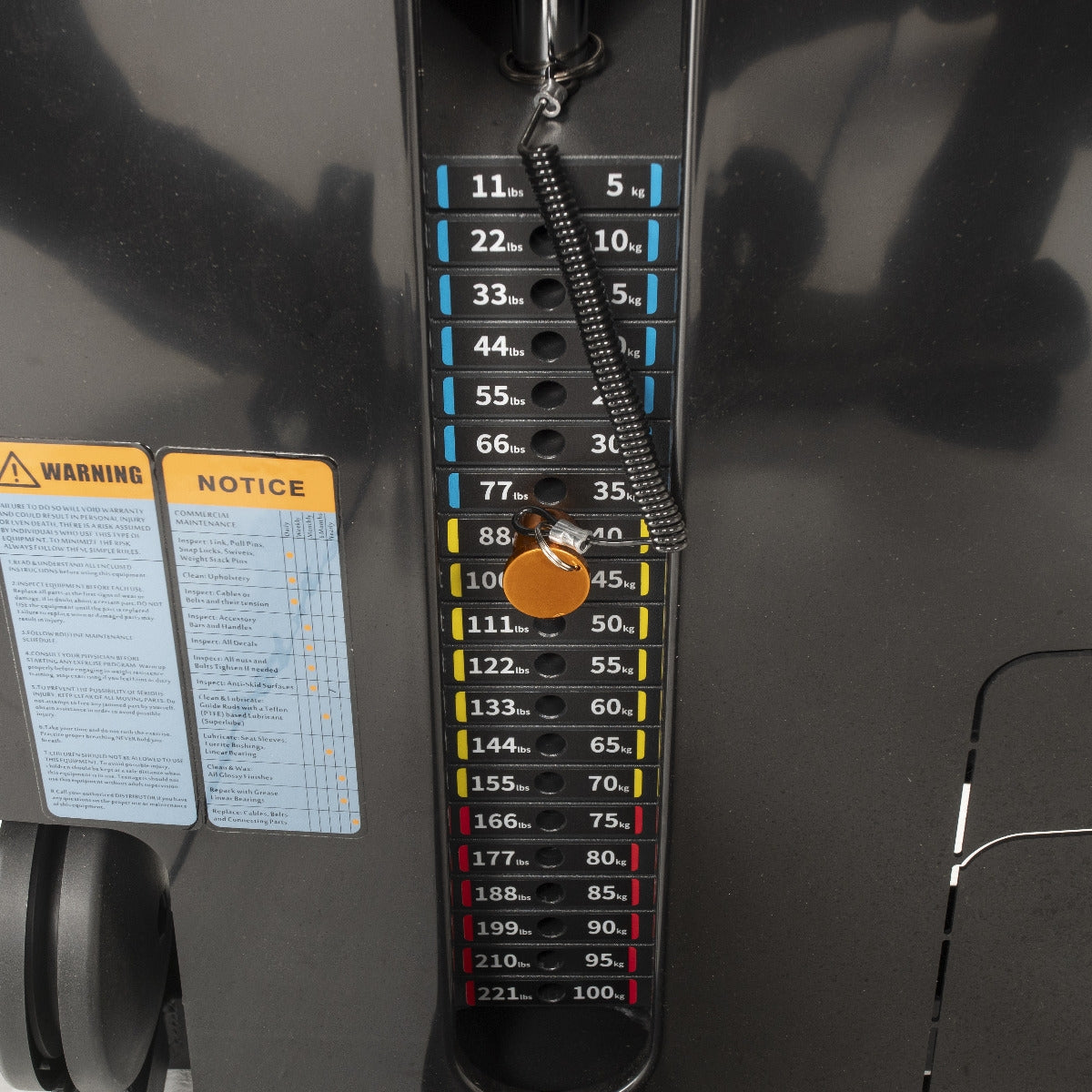 TF Standard WS Leg Curl/Extension Type 2