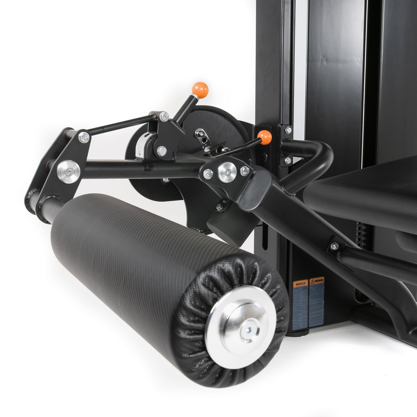 TF Standard WS Leg Curl Lying