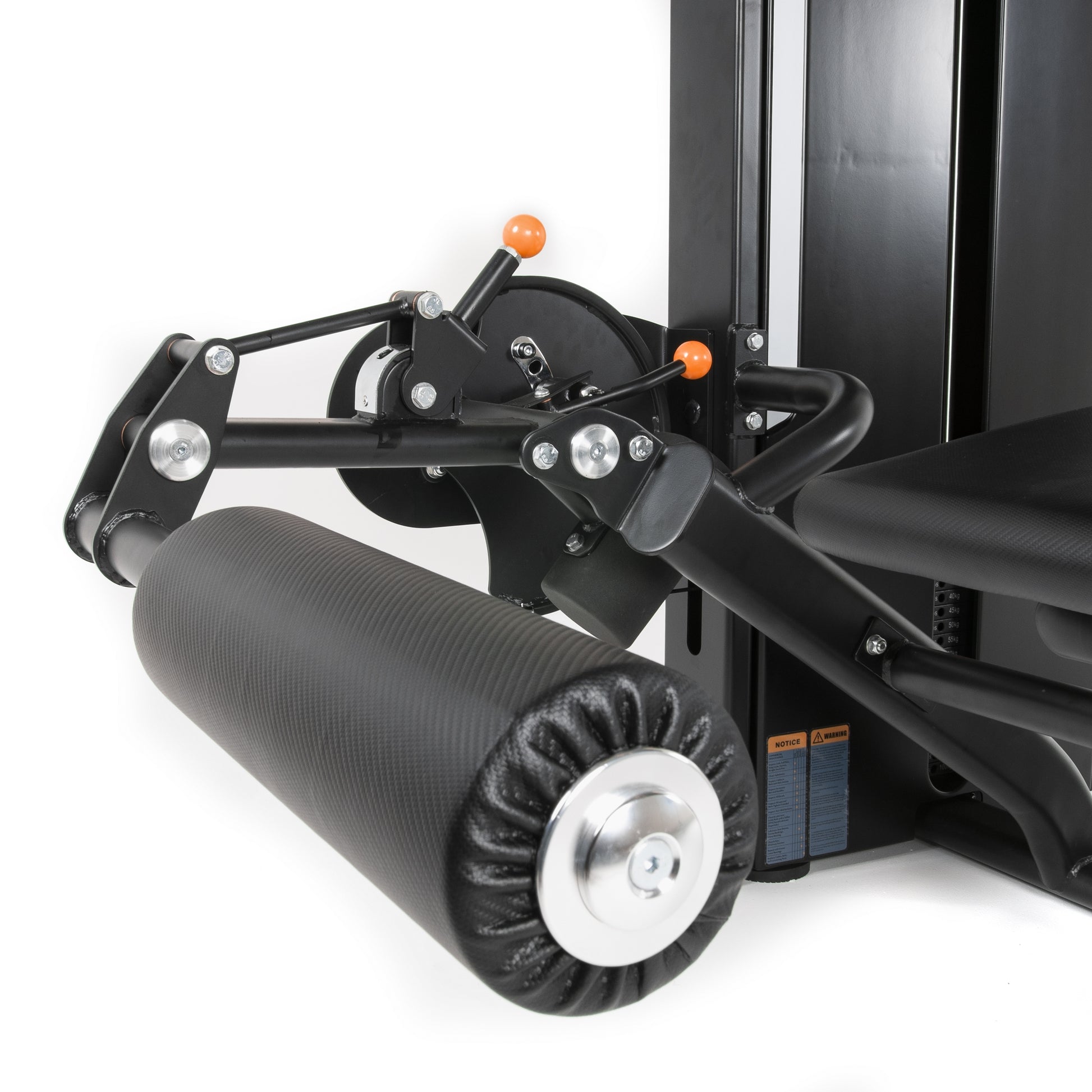 TF Standard WS Leg Curl Lying