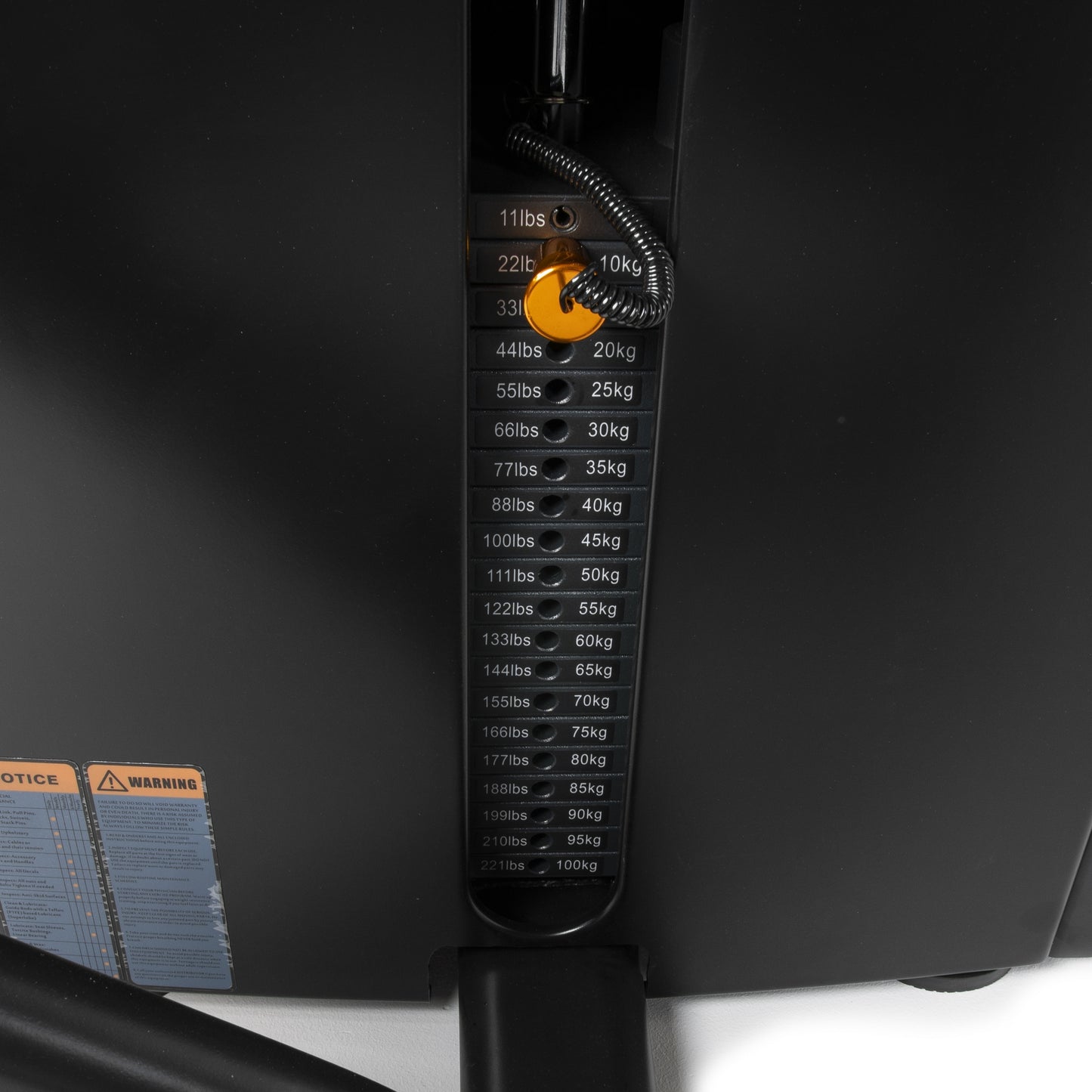 TF Standard WS Leg Curl Lying