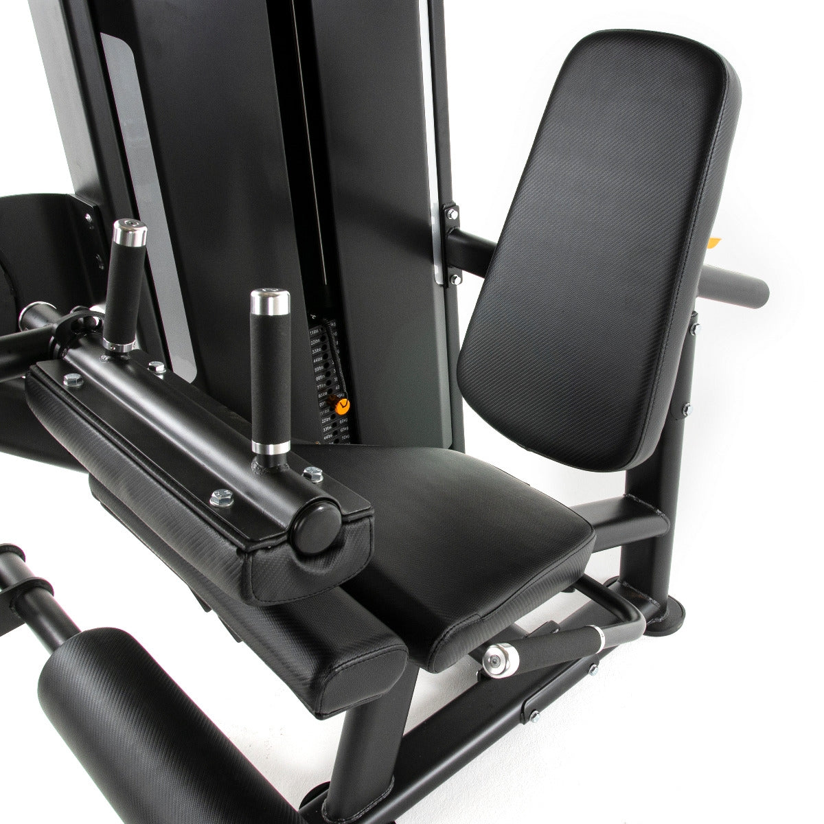 TF Standard WS Leg Extension/Curl