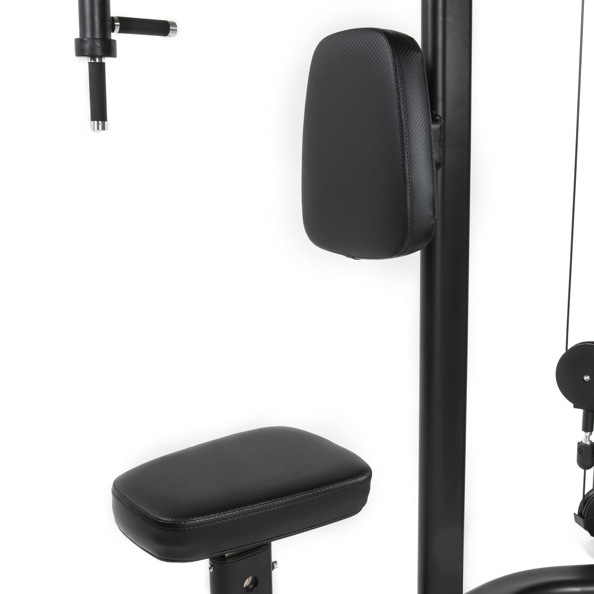 TF Standard WS Fly/Rear Delt